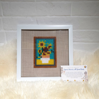 Assorted Hama Beads with Wooden Frame (20 x 20cm)