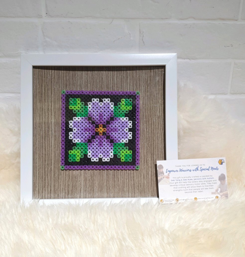 Assorted Hama Beads with Wooden Frame (20 x 20cm)