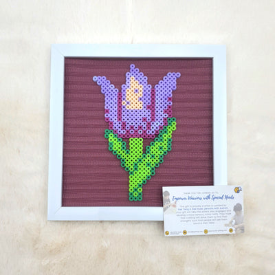 Assorted Hama Beads with Wooden Frame (20 x 20cm)