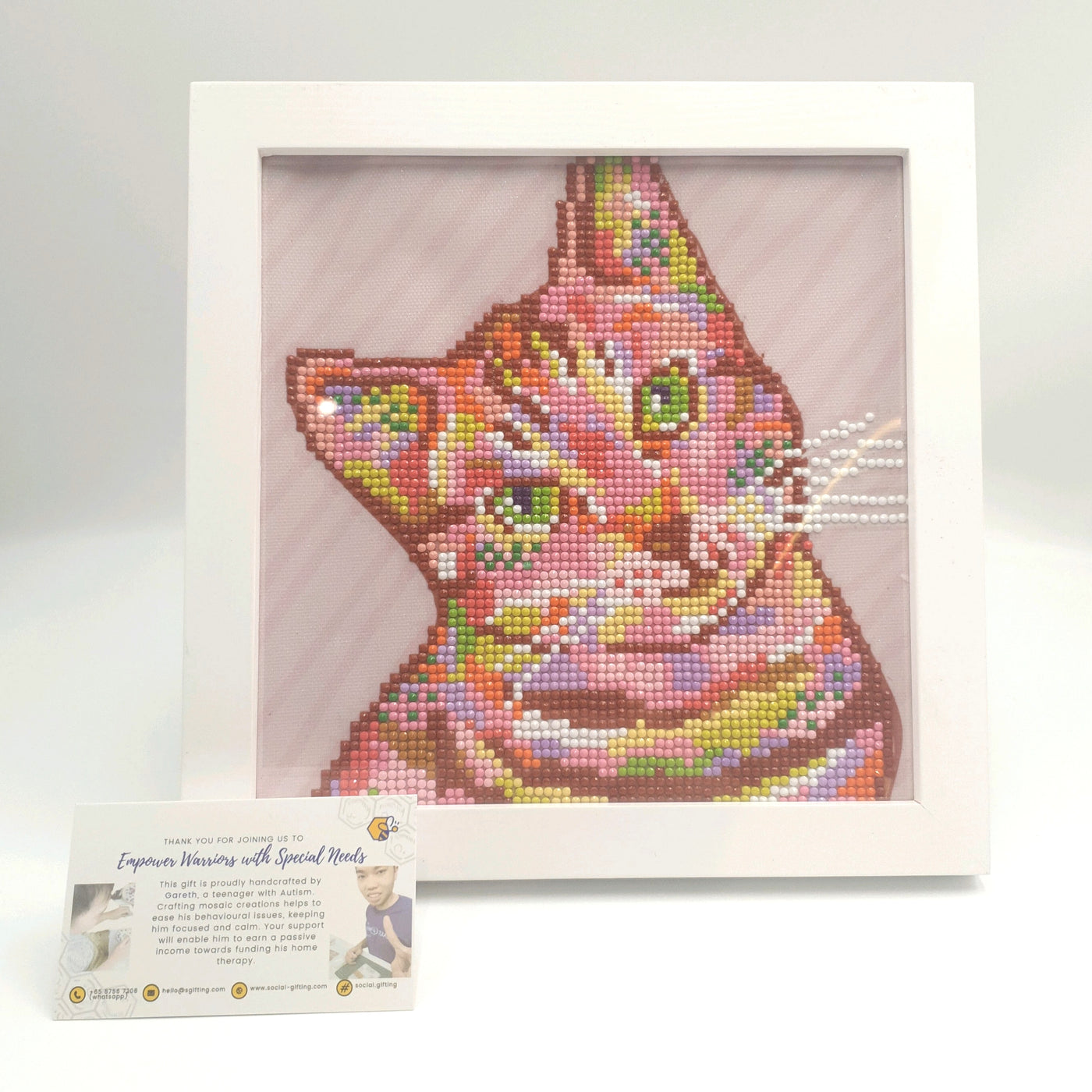 Cat Diamond Art Frame 23 x 23cm