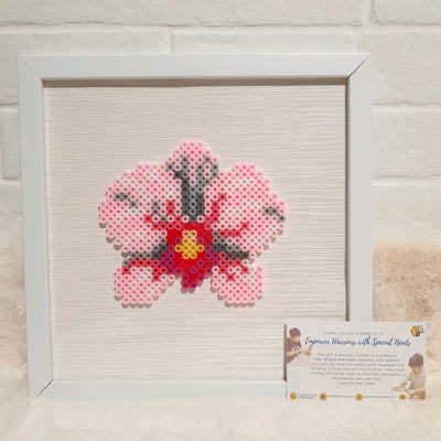 Assorted Hama Beads with Wooden Frame (20 x 20cm)