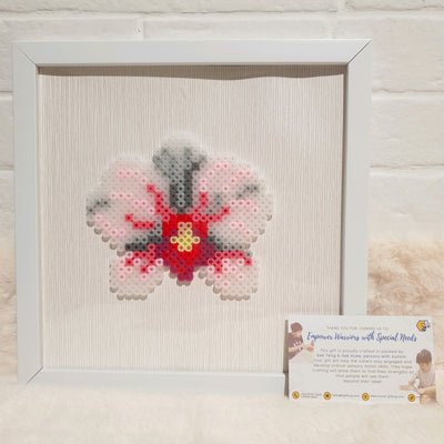 Assorted Hama Beads with Wooden Frame (20 x 20cm)