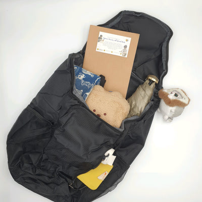 Foldable Nylon Backpack