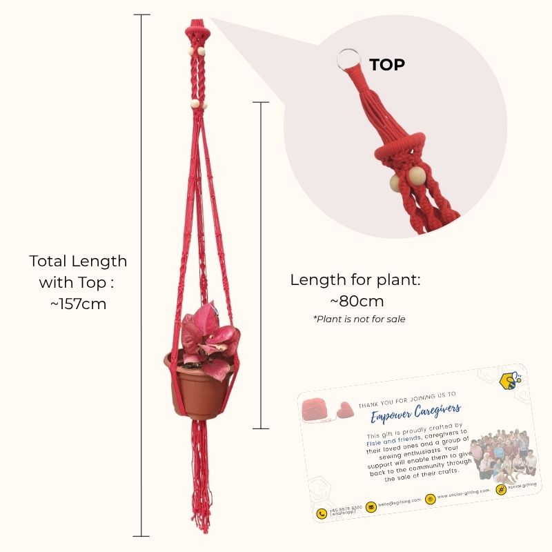 Handmade Wall Mounted Plant Holder