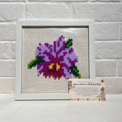 Assorted Hama Beads with Wooden Frame (20 x 20cm)