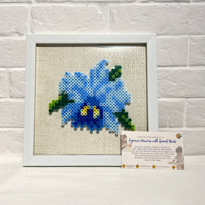 Assorted Hama Beads with Wooden Frame (20 x 20cm)