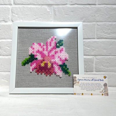 Assorted Hama Beads with Wooden Frame (20 x 20cm)