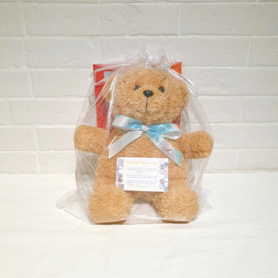 Singapore Dream Big Bear with "GO FOR IT" 37-day motivational journal