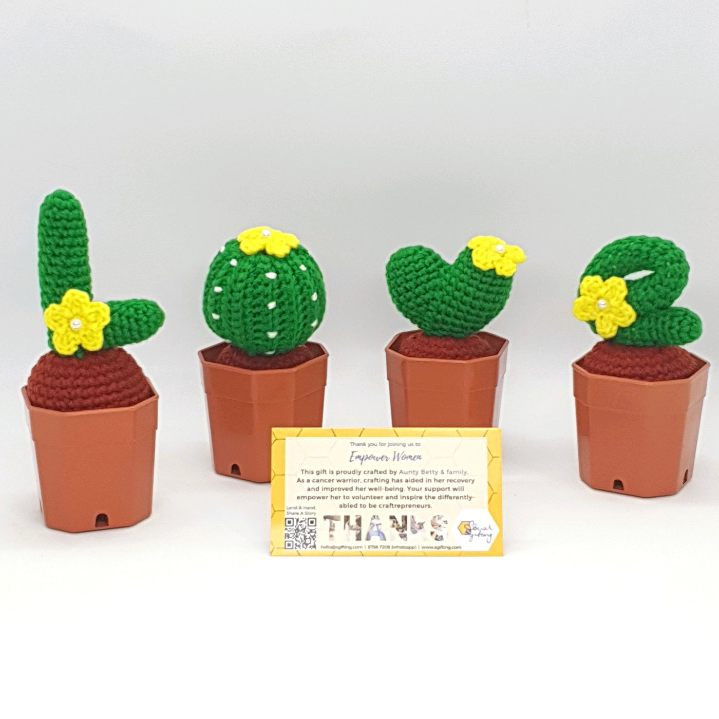 LOVE Potted Crochet Cactus Set