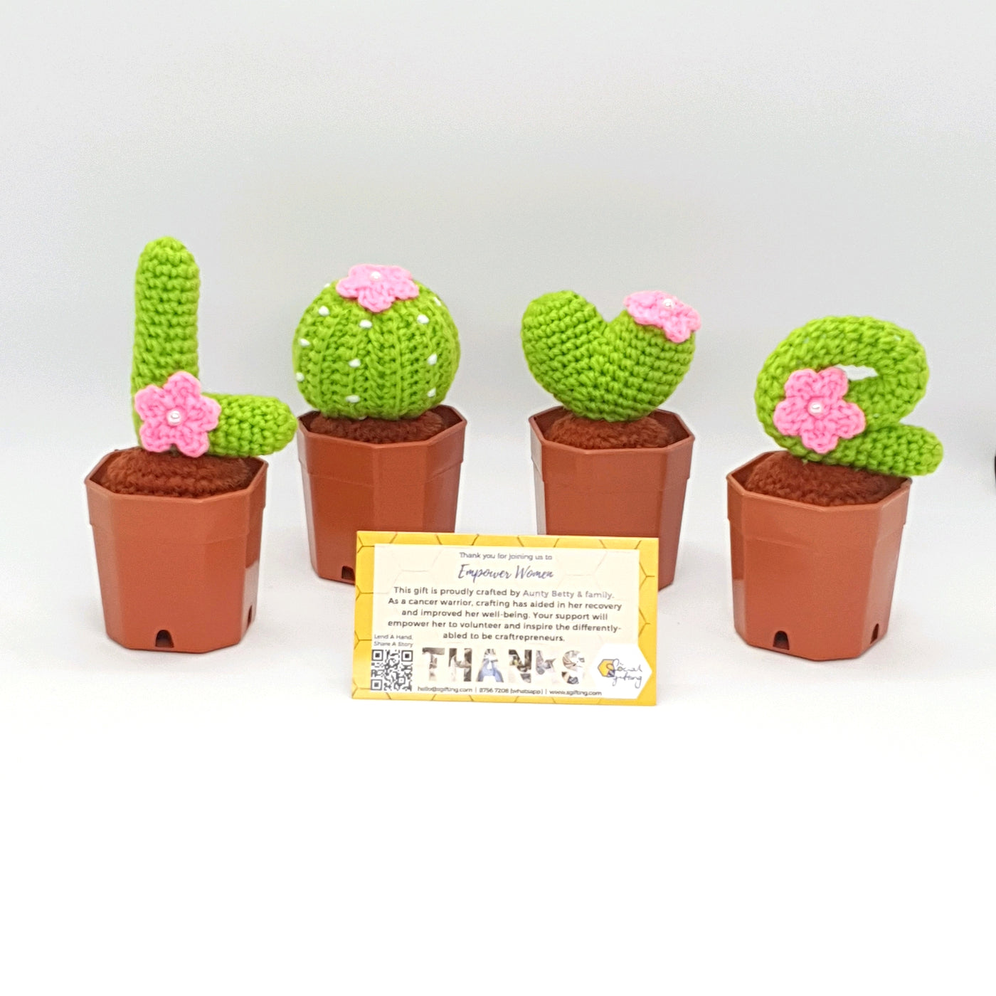 LOVE Potted Crochet Cactus Set