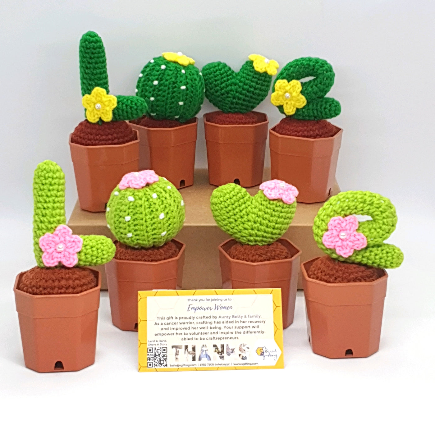 LOVE Potted Crochet Cactus Set