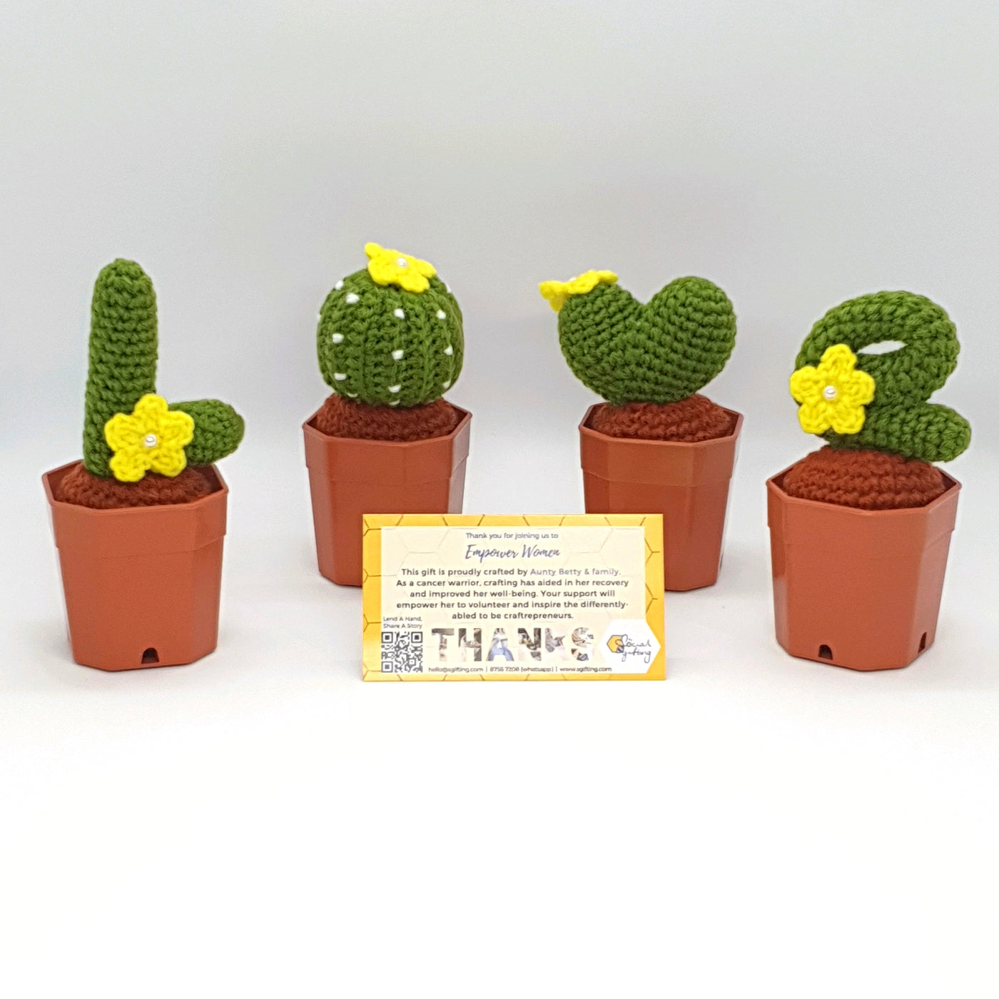 LOVE Potted Crochet Cactus Set