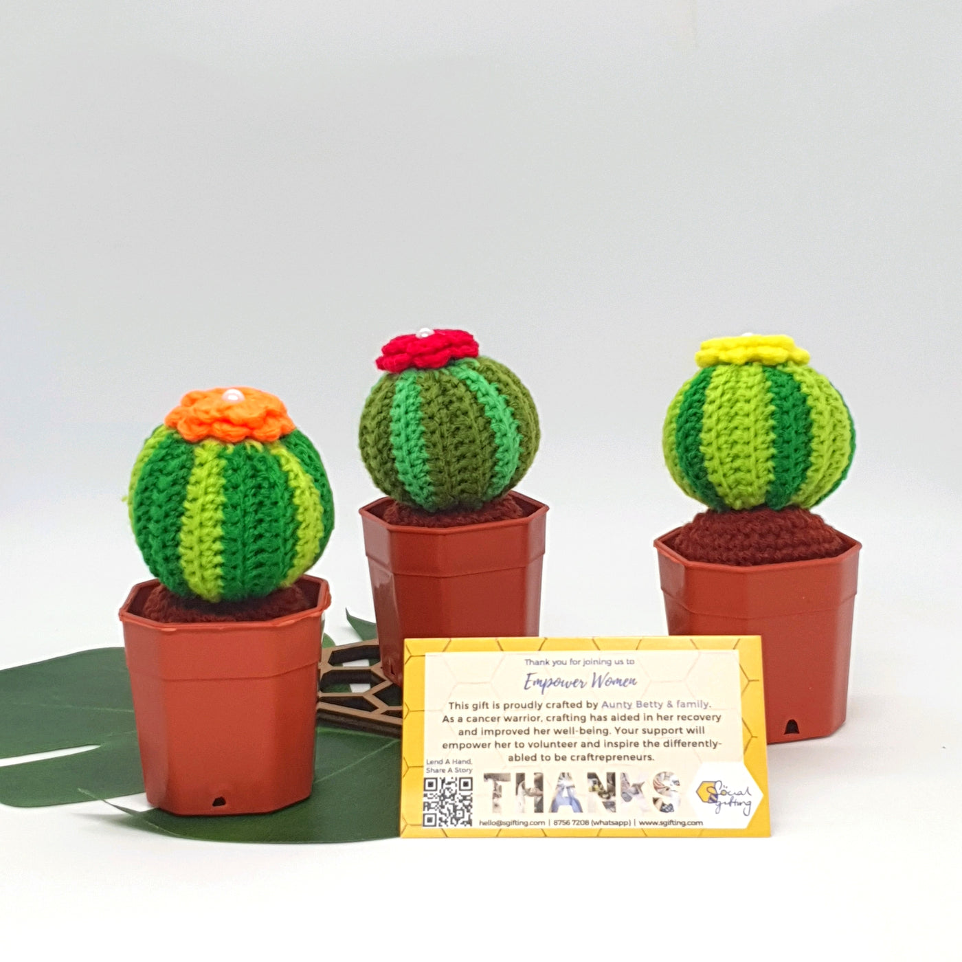 Potted Crochet Cactus