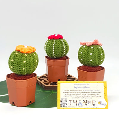 Potted Crochet Cactus