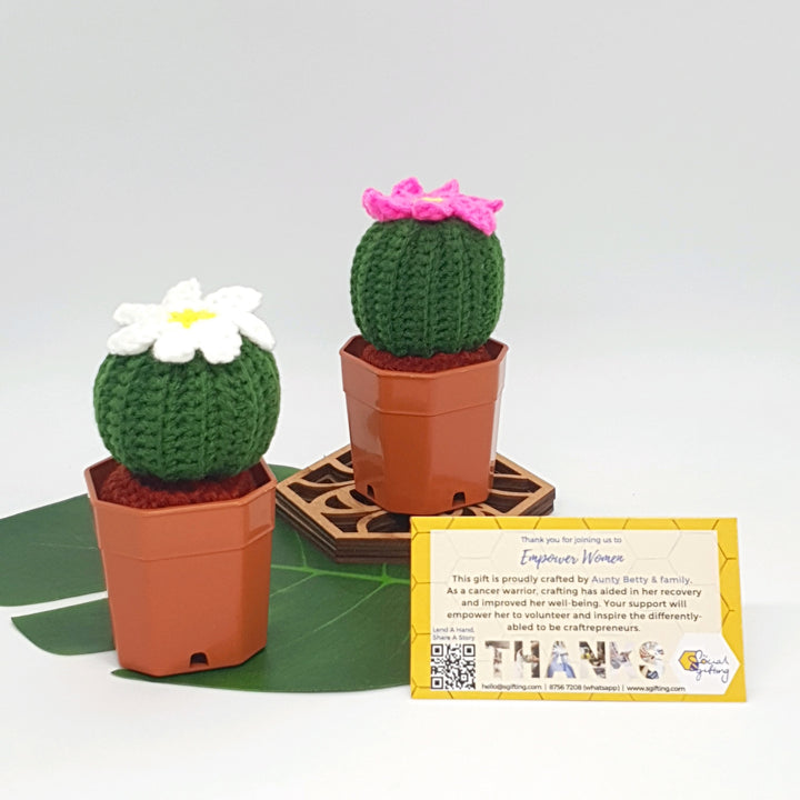 Potted Crochet Cactus – Social Gifting / SGifting Pte Ltd